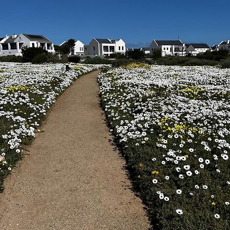 Clam Lagoon Langebaan Extérieur photo