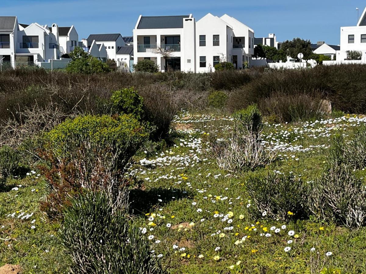 Clam Lagoon Langebaan Extérieur photo