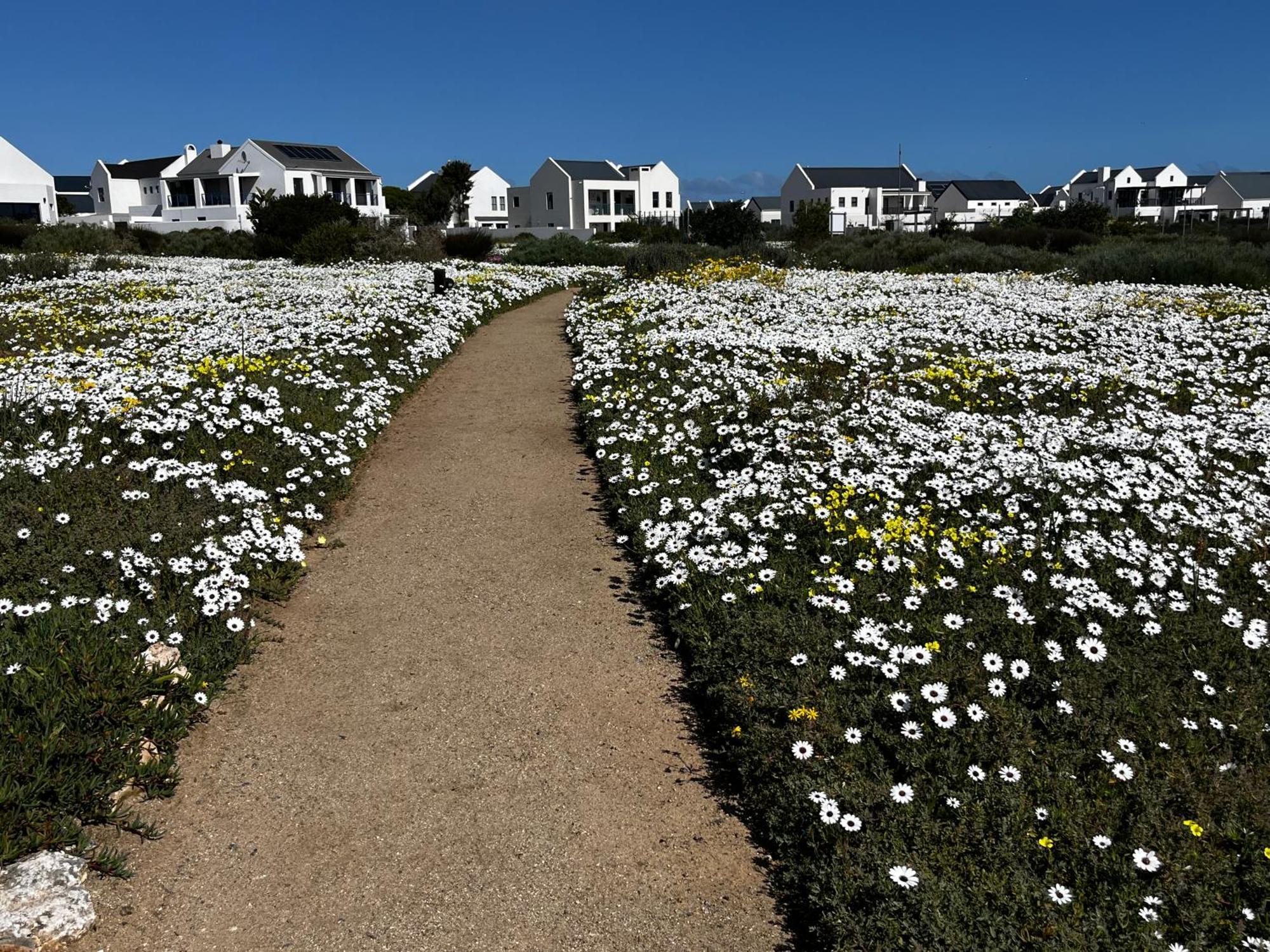 Clam Lagoon Langebaan Extérieur photo